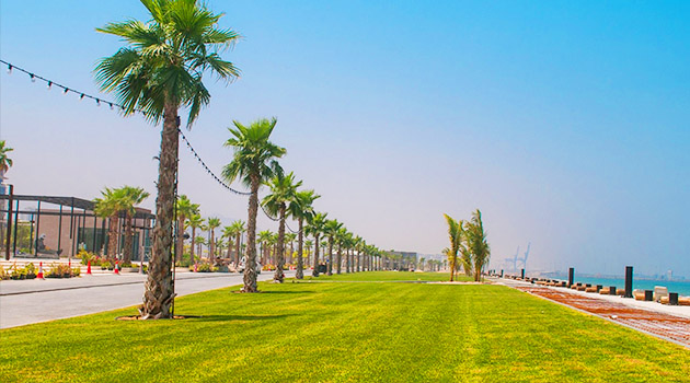 Fujairah - Umbrella Beach - pic